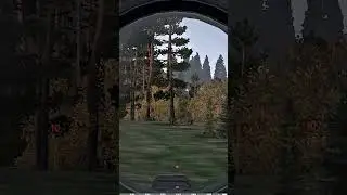 best OF DAYZ