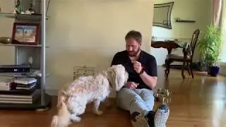 Willow's Roadmap to Success LA Wheaton mix