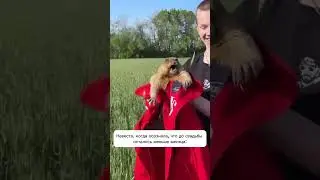 Подписывайся! Больше свадебных приколов на канале😉
