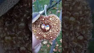 Яблочко. Брошь ручной работы.