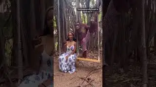 This orangutan thought she was his wife. 😂😍