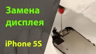 Замена дисплея на iPhone 5S