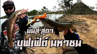 ช่อนบุฟเฟ่ต์​ มหาชน​ โคตร​มันส์​ 