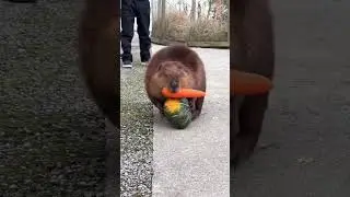Ты моёёё всёёё 