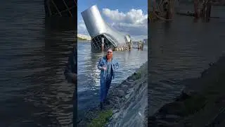 Заключительная история ресторана «Серебряный кит»