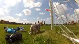 GoPro Compilation 3. Life With Gopro. [HD]