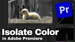 How to Isolate Color in Adobe Premiere Pro CC | Adobe Tutorial