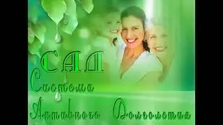 Отличие флуревитов от БАДов   механизмы действия   You