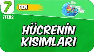 Hücrenin Kısımları ve Geçmişten Günümüze Hücre 📗 7. Sınıf Fen 