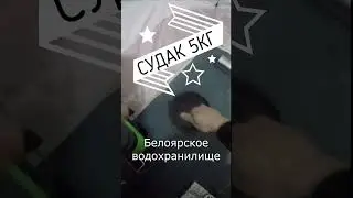 #трофейныйсудак #icefishing #зимняярыбалка
