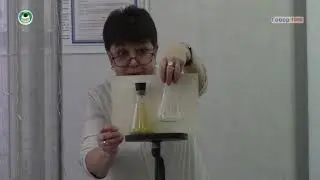 Школа 117 Химия (фрагмент  урока )  