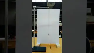 Wilberforce Pendulum - F