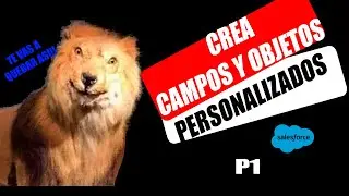 🔥 ❗️CREAR objetos en SALESFORCE 👉🏻 [1] 🔴 Salesforce TUTORIAL ESPAÑOL 2024