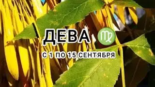 ДЕВА ♍ таро прогноз с 1 по 15 сентября &VIRGO tarot forecast from September 1 to September 15
