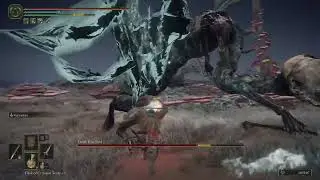 Death Rite Bird - Southern Aeonia Swamp Bank