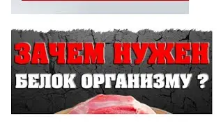 Роль белка для здоровья, как Восполнить дефицит