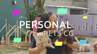 Empreendedorismo Feminino no Brasil - Personal Pets