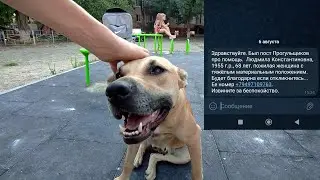 9 Августа Мариуполь Помогли женщине Купание и Воркаут Топ
