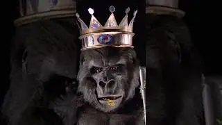 Best King Kong Films Ranked
