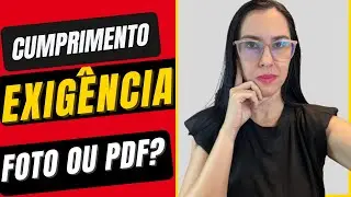 Cumprimento de Exigência INSS envio o arquivo por foto ou pdf