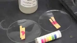 Video Demonstration Dilution Part 1