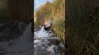 Termas de Guatin é o nome desse paraíso no Deserto do Atacama. Bora? 👀 #chile #desertodoatacama