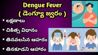 Dengue Fever Symptoms and treatment in Telugu | డెంగీ జ్వరం లక్షణాలు, చికిత్స విధానం