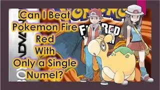 Pokemon Challenge - Can I Beat Pokemon Fire Red with a Single Numel?
