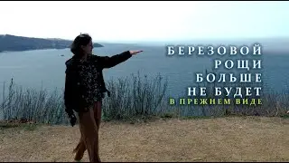 Вырубили деревья в Березовой роще? И как во Врангеле найти интересные места.