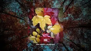 Soul Surplus :: Autumn Bliss (Sample Pack)