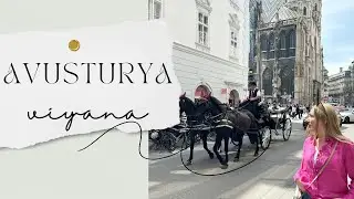 Sanatın ve Kültürün Başkenti Viyana 🎭