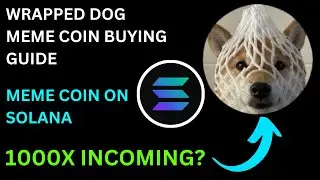 How To Buy Wrapped Dog Meme Coin on Solana
