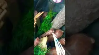 Оригинальный и вкусный букет🙈