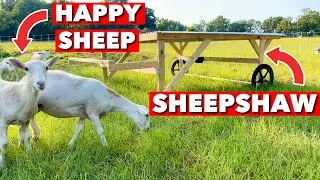 I BUILT A SHEEPSHAW FOR OUR PASTURE RAISED SHEEP!! HERES HOW