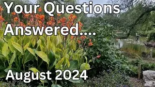 Your Questions On London & London Visited - August 24 🤔🔍