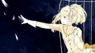 tielle - cage