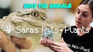 Walkthrough Sara's Pet Store in Pittsburgh