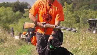 BIRD DOG WARS