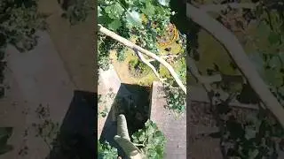 The logs MUST land flat