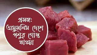 প্রসঙ্গ: অমুসলিম দেশে পশুর গোস্ত খাওয়া