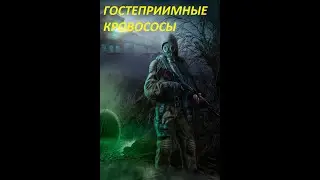 Прохождение Stalker Lost World Condemned #24
