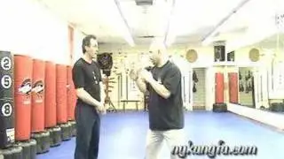 Lama Pai & Hop Gar Kung-Fu Discussions # 4