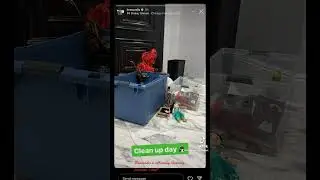 Brawadis is officially cleaning jasmine’s stuff #brawadis