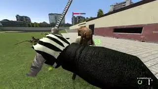 ЧЗХ че за баг со звуком