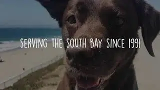 Aunite Ems VID