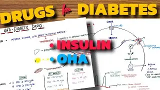 DRUGS FOR DIABETES | Insulin | OHA | Pharmacology