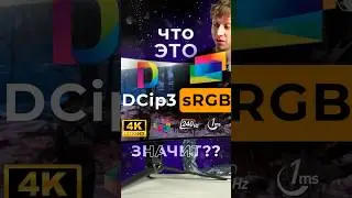 All about monitor specs in 1 minute! sRGB DCi p3 GtG 8-bit 10-bit 1500R and more! 