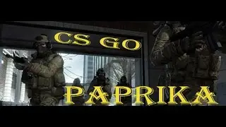-4 m4a1s (CS GO) - STREAM