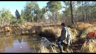 Закрытие сезона рыбалки по мягкой воде.