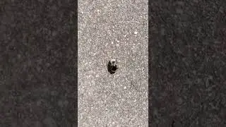 на прогулке 😊